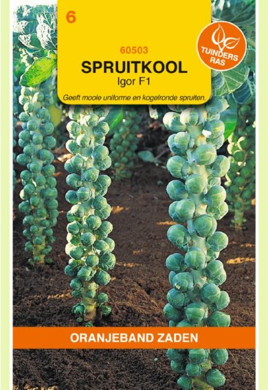 Brussels Sprouts Igor F1 (Brassica oleracea) 200 seeds OBZ